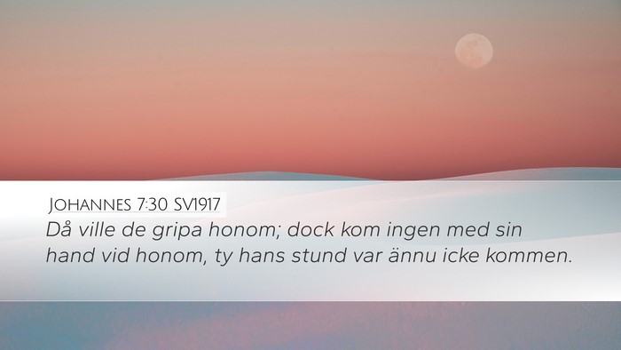 Johannes 7:30 SV1917 Bible Verse Image