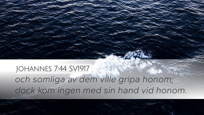 Johannes 7:44 SV1917 Bible Verse Image