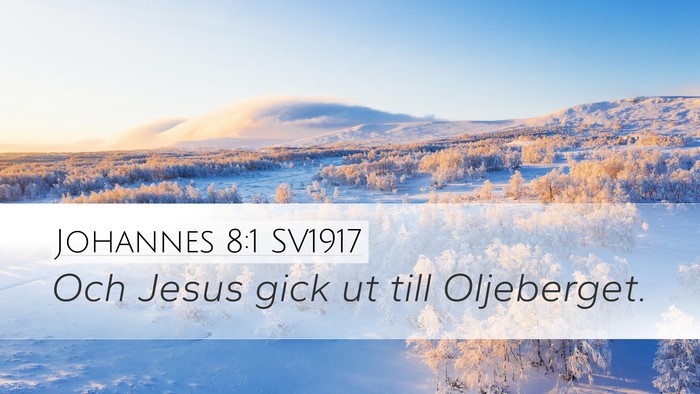 Johannes 8:1 SV1917 Bible Verse Image