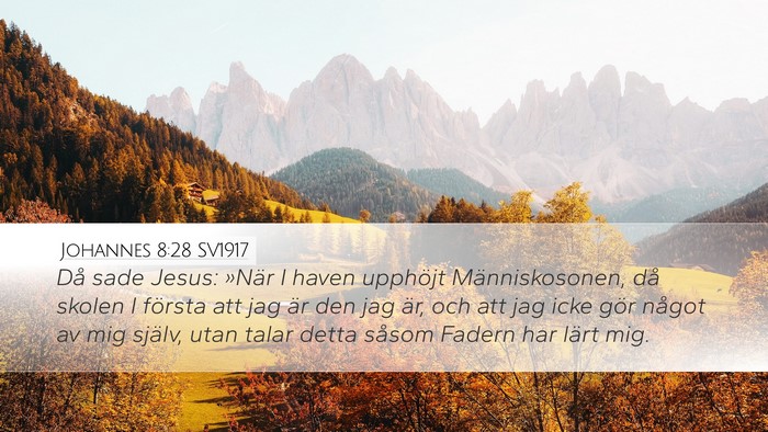Johannes 8:28 SV1917 Bible Verse Image