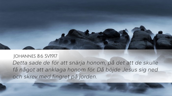 Johannes 8:6 SV1917 Bible Verse Image