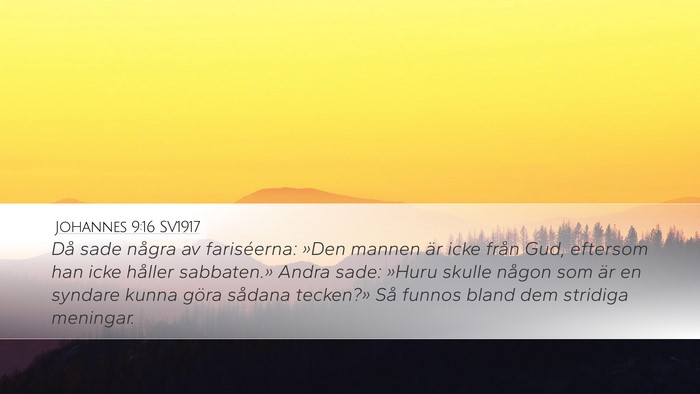 Johannes 9:16 SV1917 Bible Verse Image