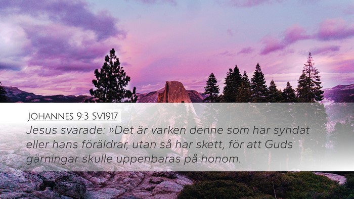 Johannes 9:3 SV1917 Bible Verse Image
