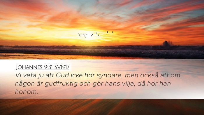 Johannes 9:31 SV1917 Bible Verse Image
