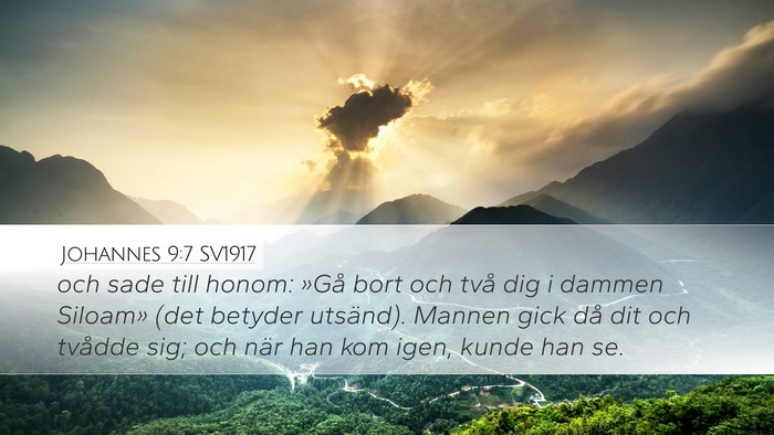 Johannes 9:7 SV1917 Bible Verse Image