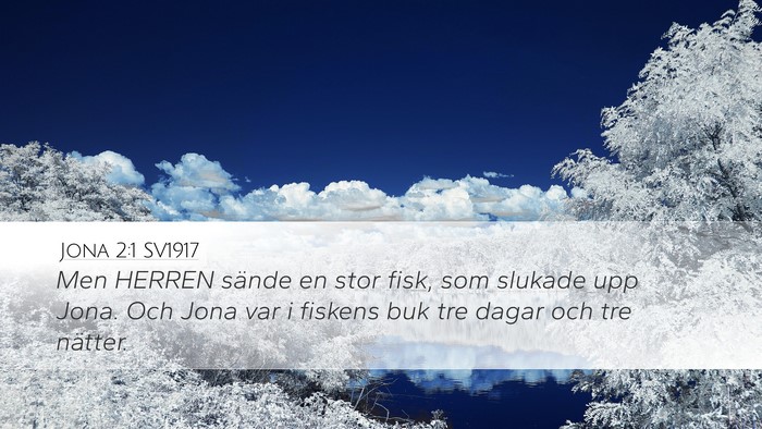 Jona 2:1 SV1917 Bible Verse Image
