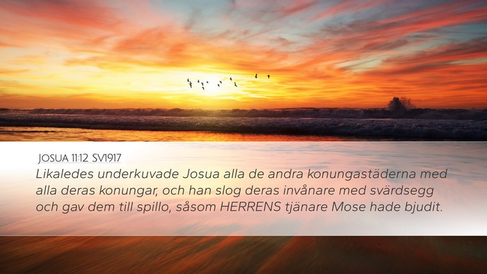 Josua 11:12 SV1917 Bible Verse Image
