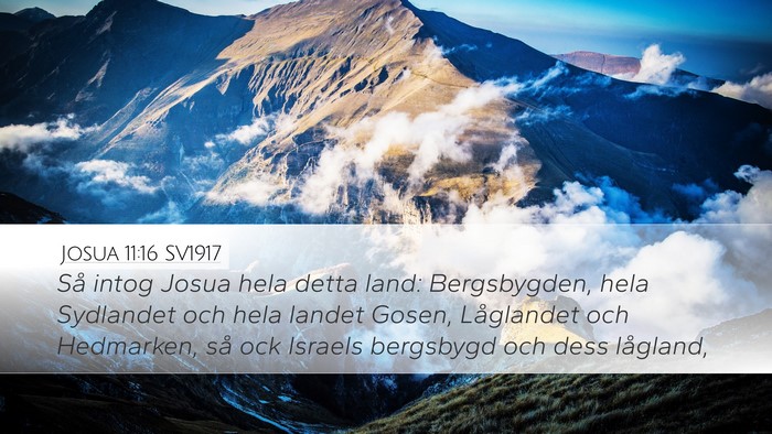 Josua 11:16 SV1917 Bible Verse Image
