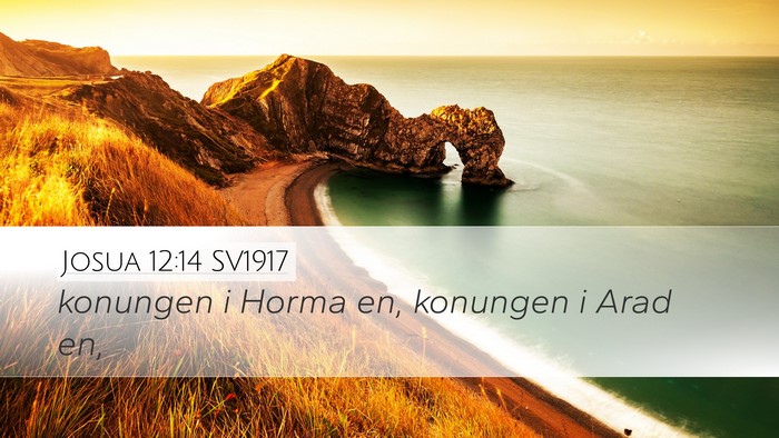 Josua 12:14 SV1917 Desktop Wallpaper - konungen i Horma en, konungen i Arad - Desktop Bible Verse Wallpaper