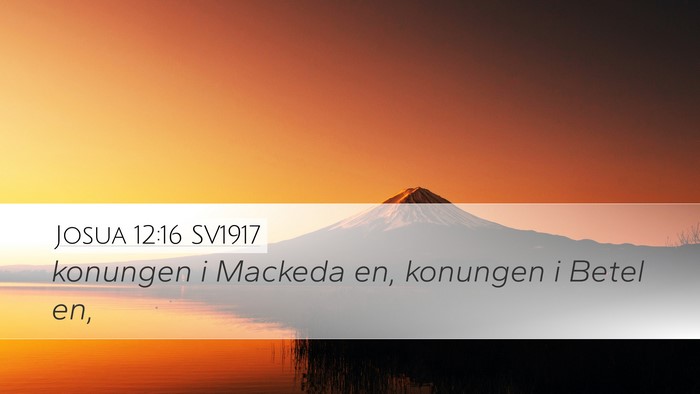 Josua 12:16 SV1917 Bible Verse Image