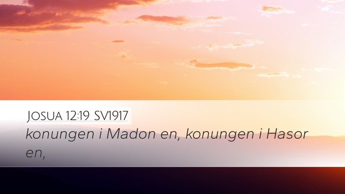 Josua 12:19 SV1917 Bible Verse Image