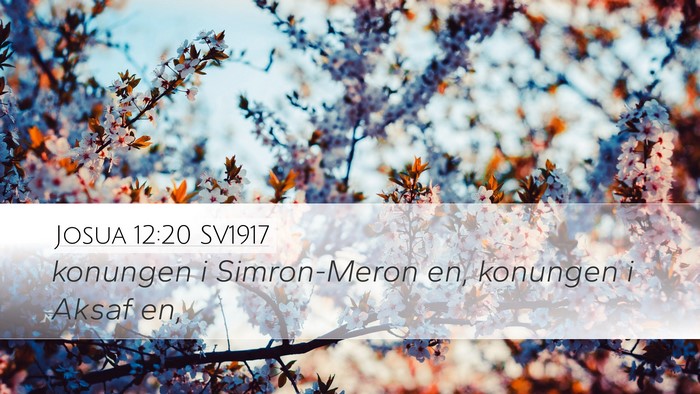 Josua 12:20 SV1917 Bible Verse Image