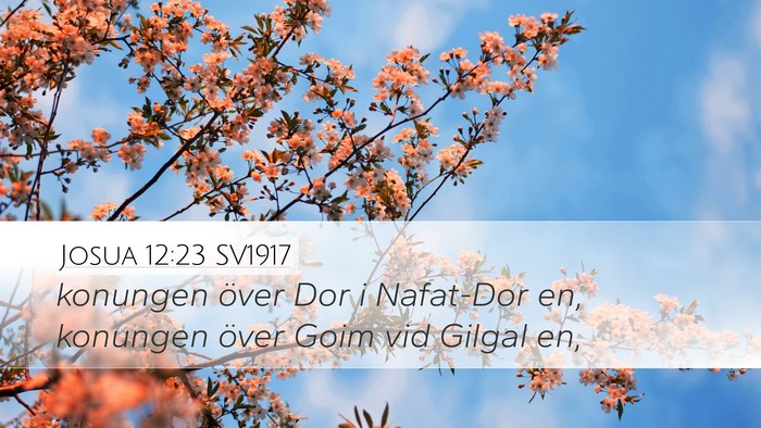 Josua 12:23 SV1917 Bible Verse Image