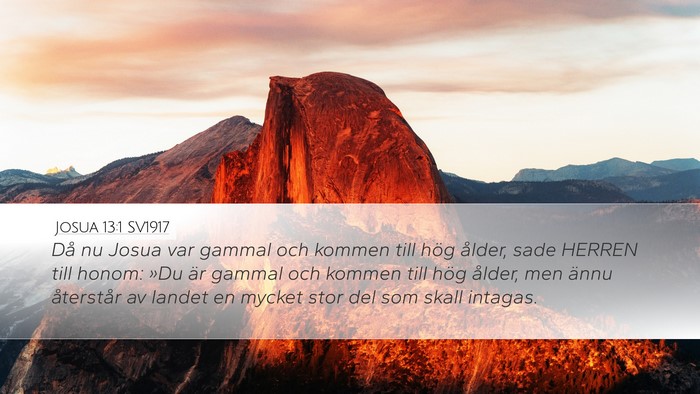 Josua 13:1 SV1917 Bible Verse Image