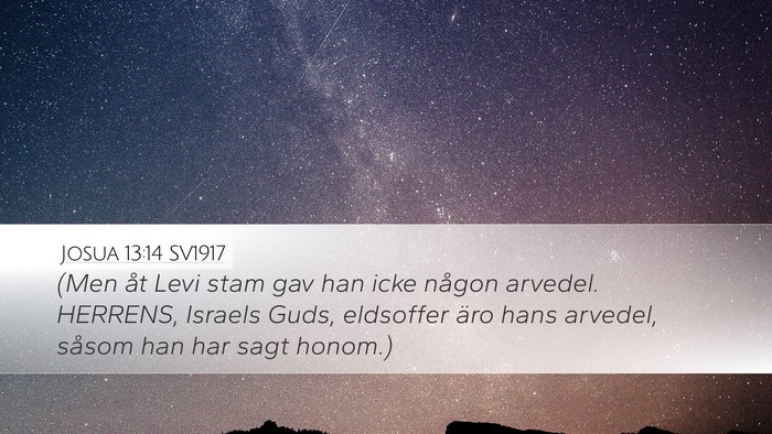 Josua 13:14 SV1917 Bible Verse Image
