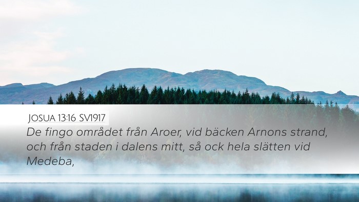 Josua 13:16 SV1917 Desktop Wallpaper - De fingo området från Aroer, vid bäcken Arnons - Desktop Bible Verse Wallpaper