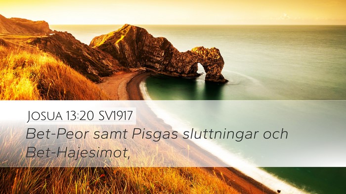 Josua 13:20 SV1917 Bible Verse Image