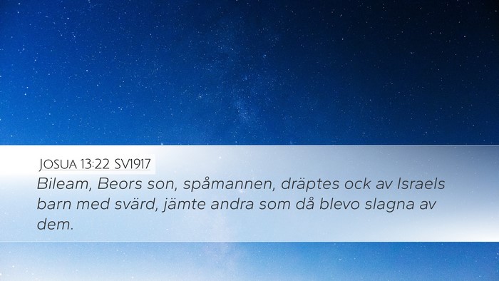 Josua 13:22 SV1917 Bible Verse Image