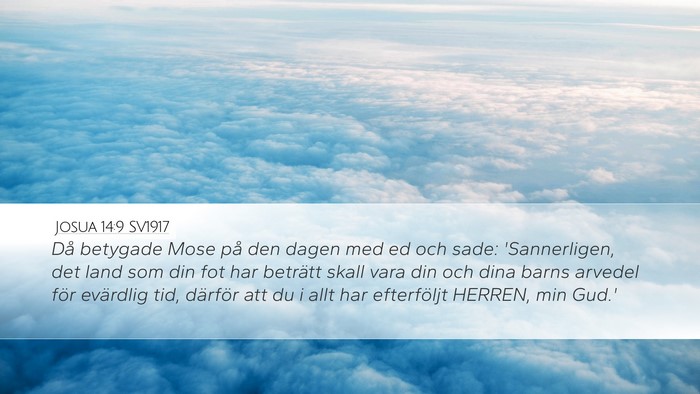 Josua 14:9 SV1917 Bible Verse Image