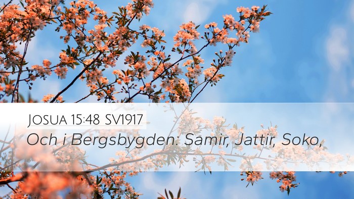 Josua 15:48 SV1917 Bible Verse Image