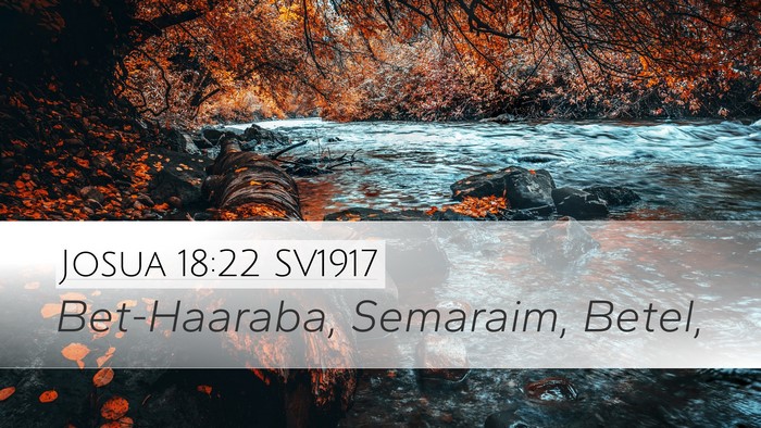 Josua 18:22 SV1917 Desktop Wallpaper - Bet-Haaraba, Semaraim, - Desktop Bible Verse Wallpaper