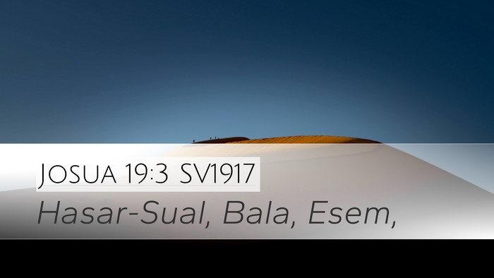 Josua 19:3 SV1917 Bible Verse Image