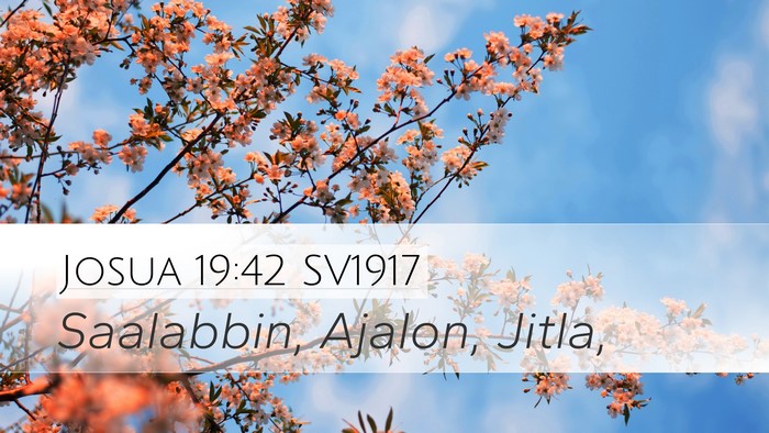 Josua 19:42 SV1917 Bible Verse Image