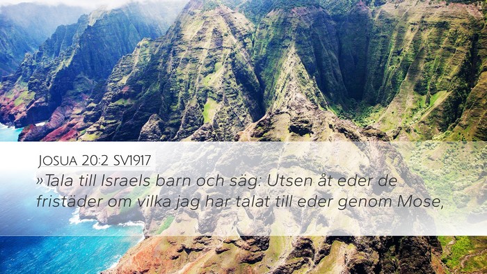 Josua 20:2 SV1917 Bible Verse Image