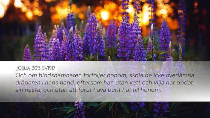 Josua 20:5 SV1917 Desktop Wallpaper - Och om blodshämnaren förföljer honom, skola de - Desktop Bible Verse Wallpaper