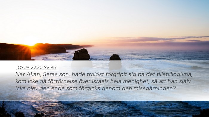 Josua 22:20 SV1917 Bible Verse Image