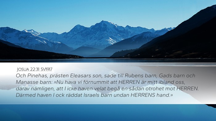 Josua 22:31 SV1917 Desktop Wallpaper - Och Pinehas, prästen Eleasars son, sade till - Desktop Bible Verse Wallpaper