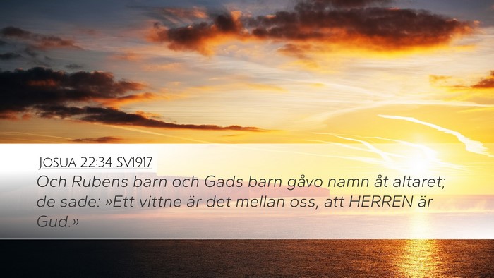 Josua 22:34 SV1917 Desktop Wallpaper - Och Rubens barn och Gads barn gåvo namn åt - Desktop Bible Verse Wallpaper