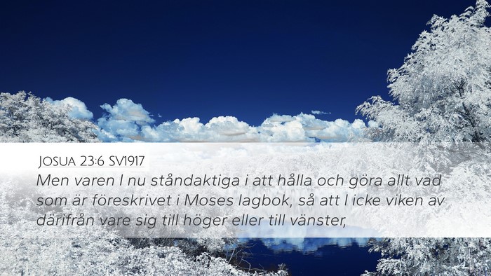 Josua 23:6 SV1917 Desktop Wallpaper - Men varen I nu ståndaktiga i att hålla och - Desktop Bible Verse Wallpaper