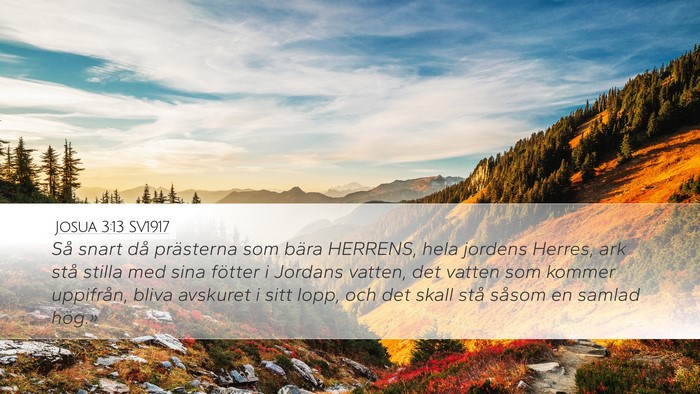 Josua 3:13 SV1917 Desktop Wallpaper - Så snart då prästerna som bära HERRENS, hela - Desktop Bible Verse Wallpaper