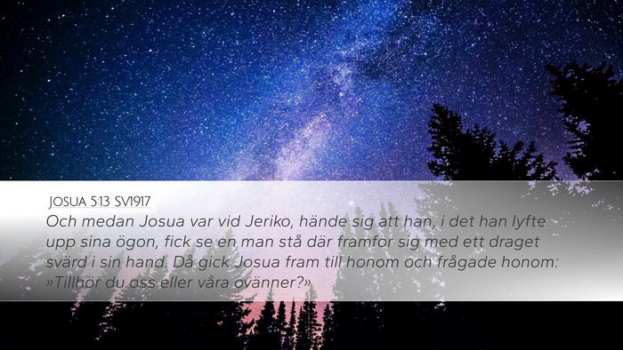 Josua 5:13 SV1917 Bible Verse Image