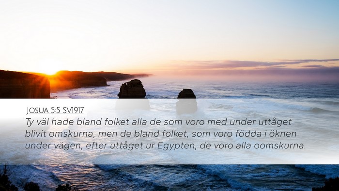 Josua 5:5 SV1917 Desktop Wallpaper - Ty väl hade bland folket alla de som voro med - Desktop Bible Verse Wallpaper