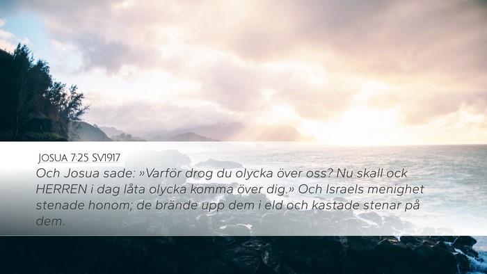 Josua 7:25 SV1917 Bible Verse Image
