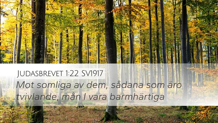 Judasbrevet 1:22 SV1917 Bible Verse Image