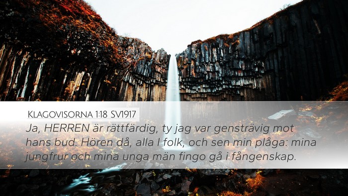 Klagovisorna 1:18 SV1917 Bible Verse Image