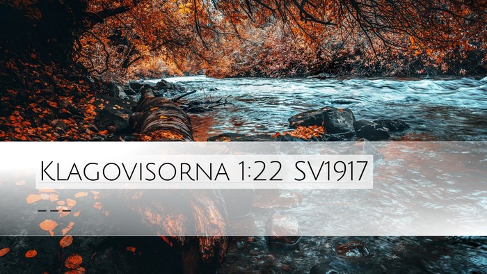 Klagovisorna 1:22 SV1917 Bible Verse Image