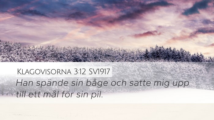 Klagovisorna 3:12 SV1917 Bible Verse Image