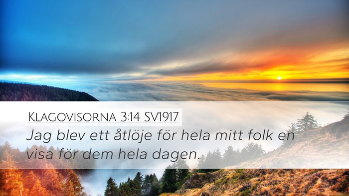 Klagovisorna 3:14 SV1917 Desktop Wallpaper - Jag blev ett åtlöje för hela mitt folk en visa - Desktop Bible Verse Wallpaper