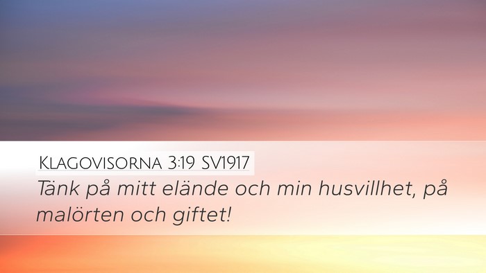 Klagovisorna 3:19 SV1917 Bible Verse Image