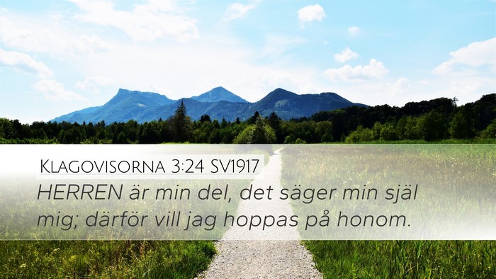 Klagovisorna 3:24 SV1917 Bible Verse Image