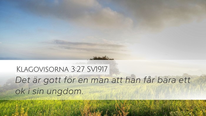 Klagovisorna 3:27 SV1917 Bible Verse Image