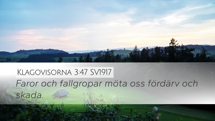 Klagovisorna 3:47 SV1917 Bible Verse Image