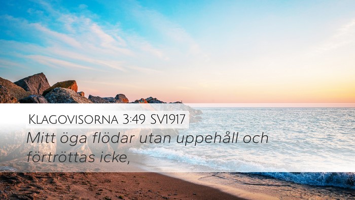 Klagovisorna 3:49 SV1917 Desktop Wallpaper - Mitt öga flödar utan uppehåll och förtröttas - Desktop Bible Verse Wallpaper