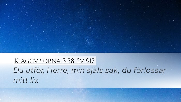 Klagovisorna 3:58 SV1917 Bible Verse Image