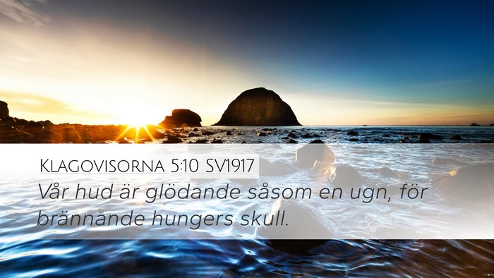 Klagovisorna 5:10 SV1917 Bible Verse Image