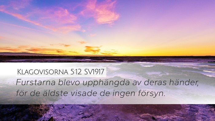 Klagovisorna 5:12 SV1917 Bible Verse Image
